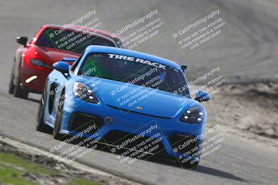 media/Jan-10-2026-Turn8 Trackdays (Sat) [[448b66da83]]/Green/Session 2 (Phil Hill)/